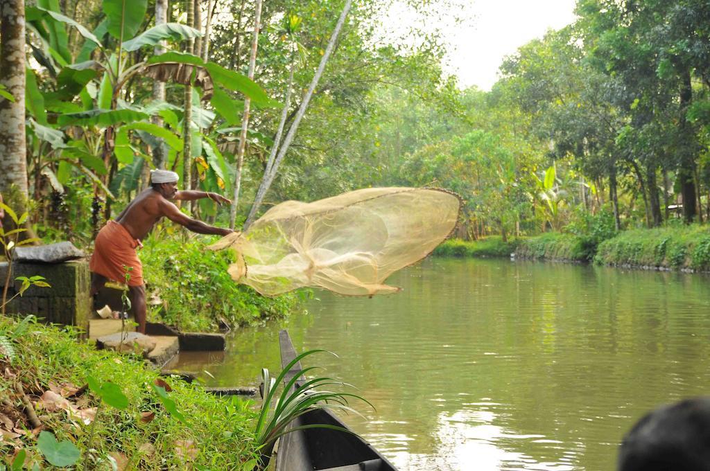 Kuttickattil Gardens Homestay Kottajam Kültér fotó