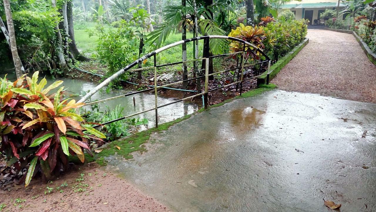 Kuttickattil Gardens Homestay Kottajam Kültér fotó